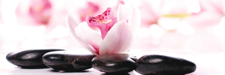 MAY PERFECT PAMPER